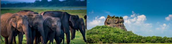 Sri lanka